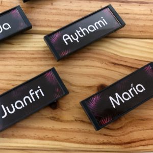 Placa Identificativa_consultar