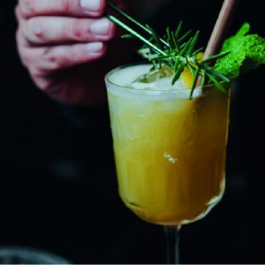 bebida-pisco-ancestral-buho