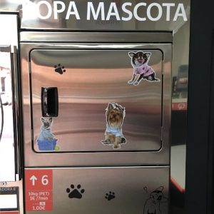 ropa-mascota-telde