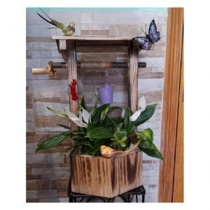 pozo-agua-guimiguada